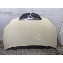 COFANO MOTORE ANTERIORE LANCIA YPSILON 2003 2011GIALLO 51872629  B2815