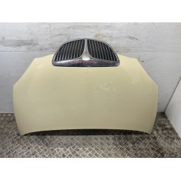 COFANO MOTORE ANTERIORE LANCIA YPSILON 2 2003 2011 GIALLO 51872629  B2815