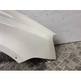 PARAFANGO ANTERIORE DESTRO DX PANDA 2 169 4X4 CLIMBING 2003 BIANCO C/FORI 51730820  B2873