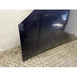 COFANO MOTORE ANTERIORE FORD FUSION BLU 2002 2012 USATO MASCHERINA 1532551  B2950
