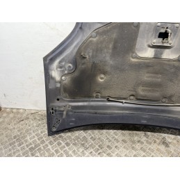 COFANO MOTORE ANTERIORE FORD FUSION BLU 2002 2012 USATO MASCHERINA 1532551  B2950