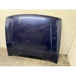 COFANO MOTORE ANTERIORE VOLWSWAGNE POLO 3 III 6N 1994 2001 BLU 6N0823031D  B2964