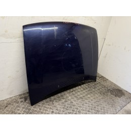 COFANO MOTORE ANTERIORE VOLWSWAGNE POLO 3 III 6N 1994 2001 BLU 6N0823031D  B2964