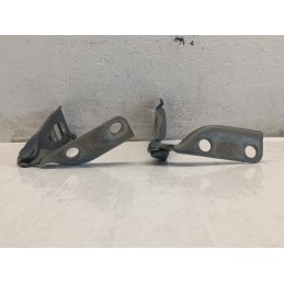 CERNIERA DESTRA SINISTRA CERNIERE COFANO ANTERIORE FORD FUSION  A9245