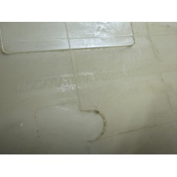 MODANATURA FIAT PANDA CROSS 4X4 PORTA PORTIERA ANTERIORE DESTRA DX 735382732  B2938