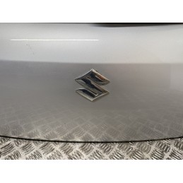 PORTELLONE BAGAGLIAIO POSTERIORE SUZUKI SWIFT 5 SERIE 10 17 GRIGIO LUNOTTO COFANO 6910068L10000  B3099