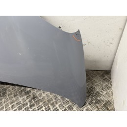 COFANO MOTORE ANTERIORE FIAT PANDA 3 312 2012 2025 GRIGIO PASTELLO 785 51841736  B3113