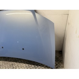 COFANO MOTORE ANTERIORE FIAT PUNTO 3 188 AZZURRO LAGOON 2003 2011 51741257  B3114