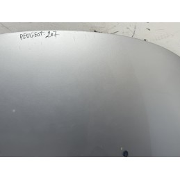COFANO MOTORE ANTERIORE PEUGEOT 207 GRIGIO 2006 2015 7901N2  B3115