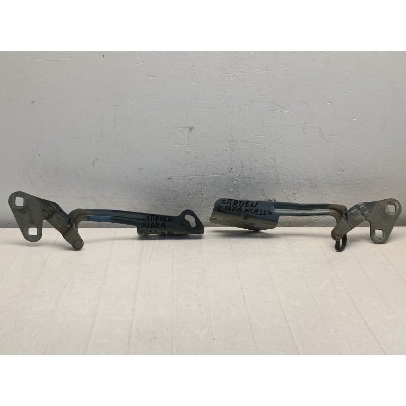 Coppia cerniere cerniera dx sx cofano anteriore Citroen Xsara Picasso A9767 Coppia cerniere cerniera dx sx cofano anteriore Citroen Xsara Picasso A9767
