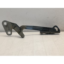 Coppia cerniere cerniera dx sx cofano anteriore Citroen Xsara Picasso  A9767