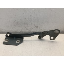 Coppia cerniere cerniera dx sx cofano anteriore Citroen Xsara Picasso  A9767