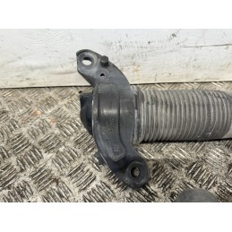 Coppia ammortizzatori posteriori Discovery Sport L550 usati LR061355  B3352