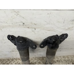 Coppia ammortizzatori posteriori Discovery Sport L550 usati LR061355  B3352