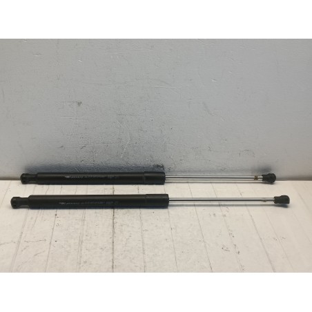 Pistoncini molle cofano posteriore Renault Clio 3 serie 8200299546  A9885