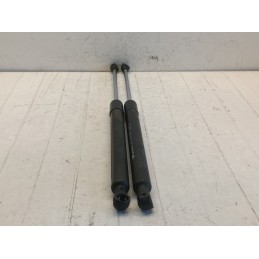Pistoncini molle cofano posteriore Renault Clio 3 serie 8200299546  A9885