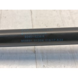 Coppia pistoncini cofano posteriore Smart fortwo 453 A4539800064  A9944