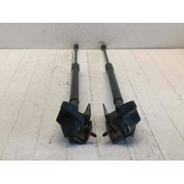 Coppia pistoncini cofano posteriore Smart fortwo 453 A4539800064  A9944