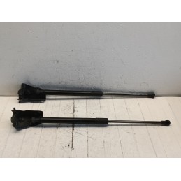 Coppia pistoncini cofano posteriore Smart fortwo 453 A4539800064  A9944