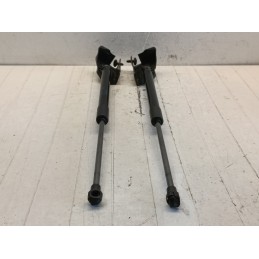 Coppia pistoncini cofano posteriore Smart fortwo 453 A4539800064  A9944