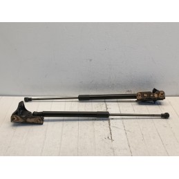 Coppia pistoncini cofano posteriore Smart fortwo 453 A4539800064  A9944