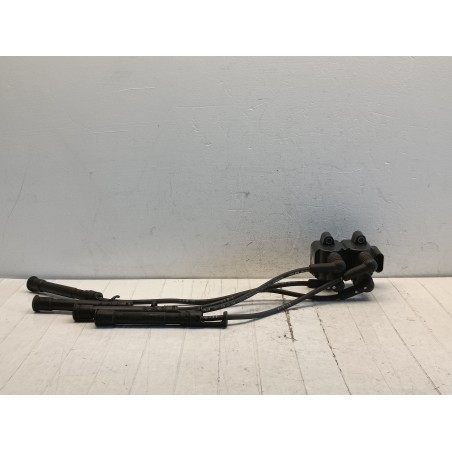 Bobina accensione Renault Clio 2 serie 1.2B R3003S00100 224336134R  A9960