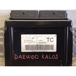 Centralina motore Daewoo Kalos 1.2 96376652 S010016040  A3566
