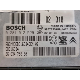 Centralina Motore Peugeot 207 1.4 HDi Bosch 0281012529 9663475880 8HZ  A7628