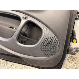 Porta anteriore sinistra Smart 453 EQ 2014 2025 grigio argento  B3445