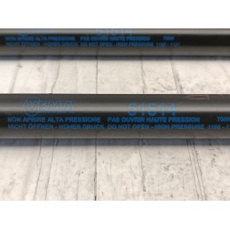 Coppia pistoncini asta cofano posteriore Opel Meriva B 2010 2017  A10052