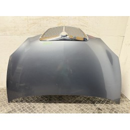 Cofano Motore Lancia Ypsilon 2006 Grigio Botticelli Met 600  B3452