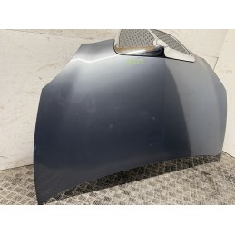 Cofano Motore Lancia Ypsilon 2006 Grigio Botticelli Met 600  B3452