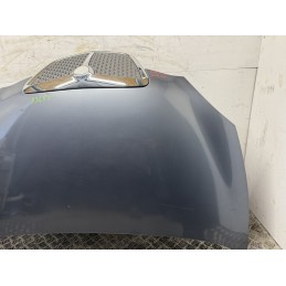 Cofano Motore Lancia Ypsilon 2006 Grigio Botticelli Met 600  B3452