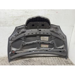 Cofano Motore Lancia Ypsilon 2006 Grigio Botticelli Met 600  B3452