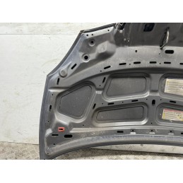 Cofano Motore Lancia Ypsilon 2006 Grigio Botticelli Met 600  B3452