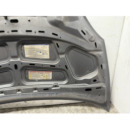 Cofano Motore Lancia Ypsilon 2006 Grigio Botticelli Met 600  B3452