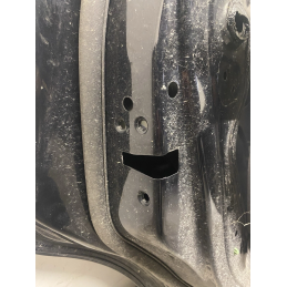 PORTA PORTIERA FORD C MAX C-MAX POSTERIORE SINISTRO 2010 2019 SPORTELLO  B2738