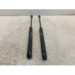 Pistoncini coppia molle cofano posteriore Alfa Romeo 147 50500057  A10252