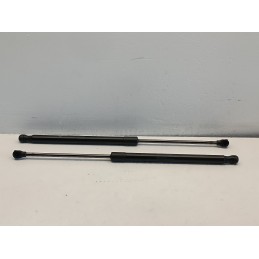 Pistoncini coppia molle cofano posteriore Fiat 500e elettrica 00521843220  A7457