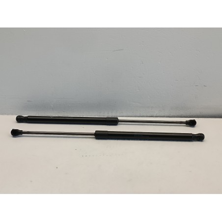 Pistoncini coppia molle cofano posteriore Fiat 500e elettrica 00521843220  A7457