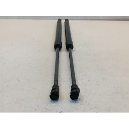 Pistoncini coppia molle cofano posteriore Fiat 500e elettrica 00521843220  A7457