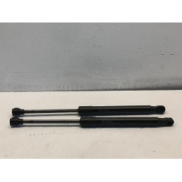 Pistoncini ammortizzatori cofano anteriore Fiat 500e EV 00521380950  A7489