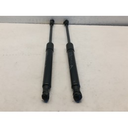 Pistoncini ammortizzatori cofano anteriore Fiat 500e EV 00521380950  A7489