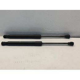 Pistoncini ammortizzatori cofano anteriore Fiat 500e EV 00521380950  A7489