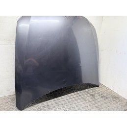 Cofano Motore BMW Serie 3 E90 E91 2005 2008 Prerestyling Originale  B3551