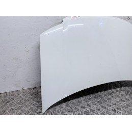 Cofano Motore Anteriore Fiat Panda 169 2003 2012 Colore Bianco Usato  B3574