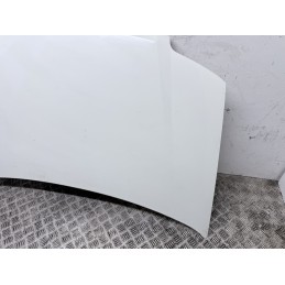 Cofano Motore Anteriore Fiat Panda 169 2003 2012 Colore Bianco Usato  B3574