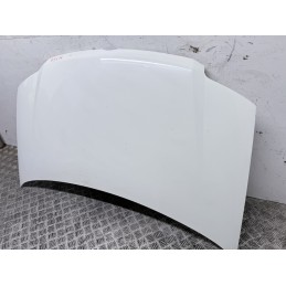 Cofano Motore Anteriore Fiat Panda 169 2003 2012 Colore Bianco Usato  B3574