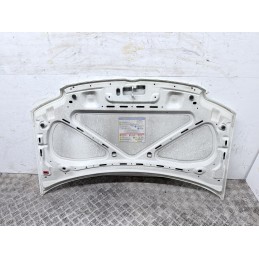 Cofano Motore Anteriore Fiat Panda 169 2003 2012 Colore Bianco Usato  B3574