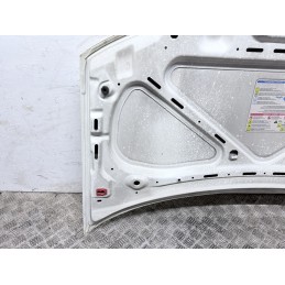 Cofano Motore Anteriore Fiat Panda 169 2003 2012 Colore Bianco Usato  B3574